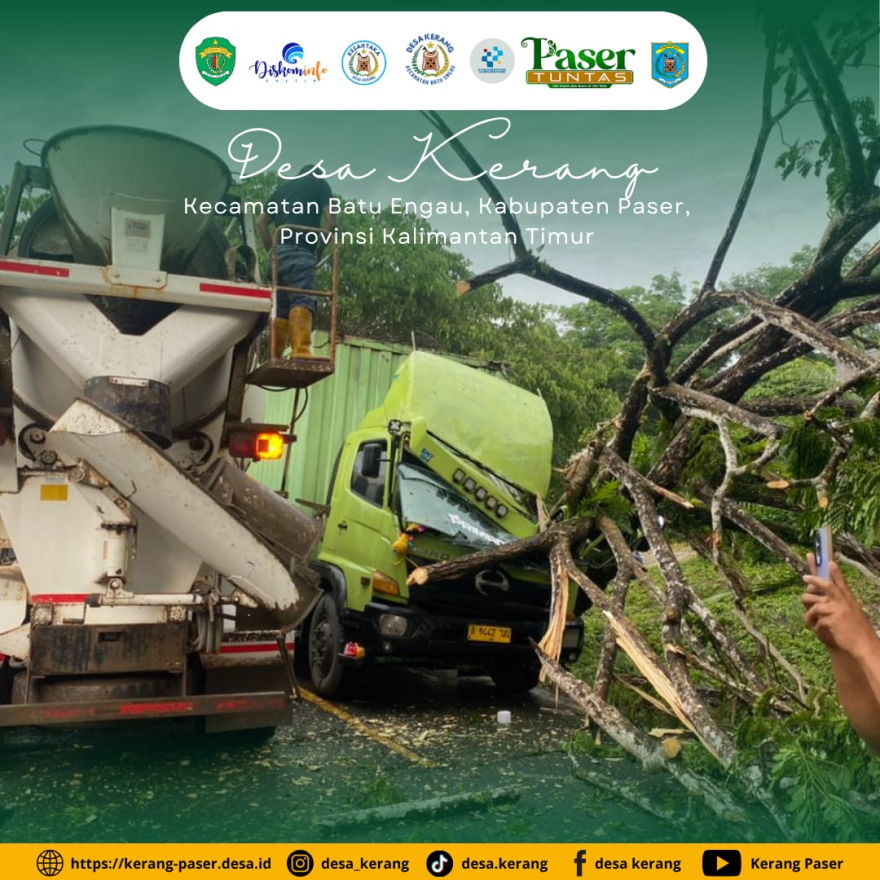 Truk Logistik Hantam Pohon Tumbang di Poros Kaltim-Kalsel, Jalur Trans Kalimantan Sempat Lumpuh